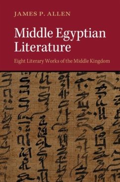 Middle Egyptian Literature (eBook, PDF) - Allen, James P.