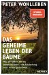Das geheime Leben der Bäume (eBook,... - Bild 1