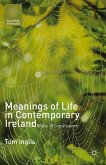 Meanings of Life in Contemporary Ireland (eBook, PDF)