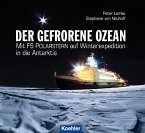 Der gefrorene Ozean (eBook, ePUB)