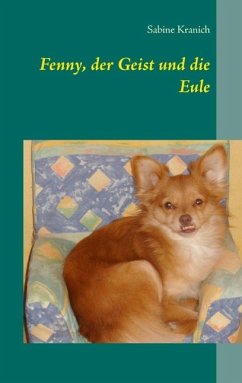 Fenny, der Geist und die Eule (eBook, ePUB)