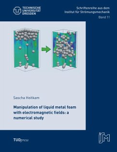 Manipulation of liquid metal foam with electromagnetic fields: a numerical study - Heitkam, Sascha