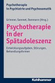 Psychotherapie in der Spätadoleszenz (eBook, ePUB)