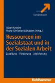 Ressourcen im Sozialstaat und in der Sozialen Arbeit (eBook, ePUB)