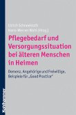 Pflegebedarf und Versorgungssituation bei älteren Menschen in Heimen (eBook, ePUB)