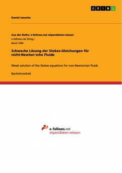 Schwache Lösung der Stokes-Gleichungen für nicht-Newton'sche Fluide (eBook, PDF)