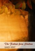 Fallout from Shadows (eBook, ePUB)