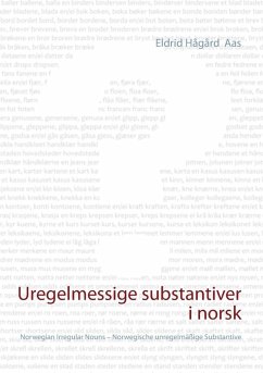 Uregelmessige substantiver i norsk (eBook, ePUB)
