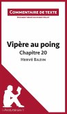 Vipère au poing d'Hervé Bazin - Chapitre 20