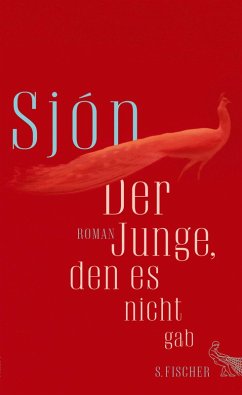 Der Junge, den es nicht gab (eBook, ePUB) - Sjón