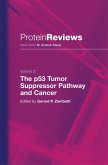 The p53 Tumor Suppressor Pathway and Cancer