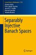 Separably Injective Banach Spaces - Bild 1