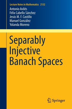 Separably Injective Banach Spaces - Aviles, Antonio;Cabello Sánchez, Félix;Castillo, Jesus M. F.