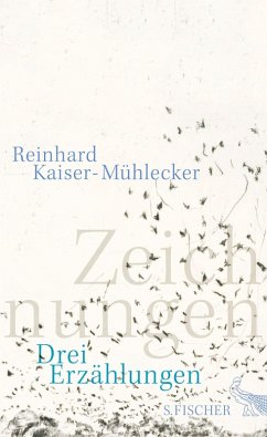 Zeichnungen (eBook, ePUB) - Kaiser-Mühlecker, Reinhard