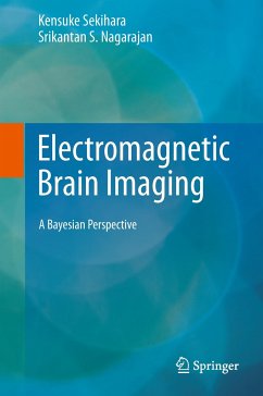 Electromagnetic Brain Imaging - Sekihara, Kensuke;Nagarajan, Srikantan S.