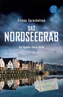 Das Nordseegrab / Theodor Storm Bd.1 (eBook, ePUB) - Spreckelsen, Tilman