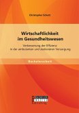 Wirtschaftlichkeit im Gesundheitswesen: Verbesserung der Effizienz in der ambulanten und stationären Versorgung (eBook, PDF)