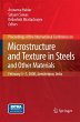Microstructure and Texture in Steels - Bild 1