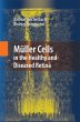 Müller Cells in the Healthy and... - Bild 1