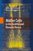 Müller Cells in the Healthy and Diseased Retina