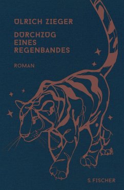 Durchzug eines Regenbandes (eBook, ePUB) - Zieger, Ulrich