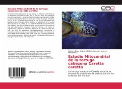 Estudio Mitocondrial de la tortuga cabezona Caretta caretta - Otálora Acevedo, Katherin Eliana Alejandra;Hernández-F., Javier A.