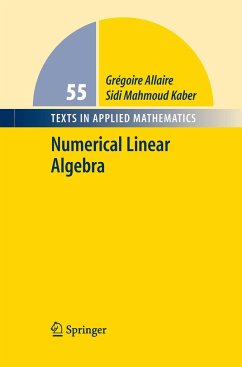 Numerical Linear Algebra - Allaire, Grégoire;Kaber, Sidi Mahmoud