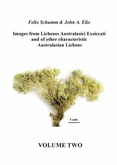 Images from Lichenes Australasici Exsiccati and of other characteristic Australasian Lichens. Volume Two - Elix, John A.;Schumm, Felix