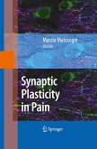 Synaptic Plasticity in Pain
