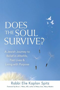 Does the Soul Survive? (2nd Edition) - Spitz, Rabbi Elie Kaplan