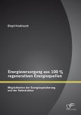 Energieversorgung aus 100 % regenerativen Energiequellen: Möglichkeiten der Energiespeicherung und der Netzstruktur (eBook, PDF)