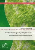 Hydrothermale Vergasung von Algenbiomasse: Sensitivitätsanalyse der Methangestehungskosten (eBook, PDF)