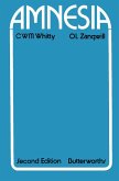 Amnesia (eBook, PDF)