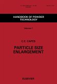 Particle Size Enlargement (eBook, PDF)