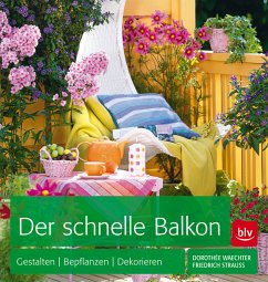 Der schnelle Balkon (Mängelexemplar) - Waechter, Dorothée; Strauß, Friedrich