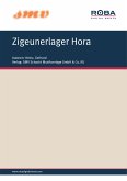 Zigeunerlager Hora (eBook, ePUB)