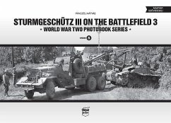 Sturmgeschutz III on the Battlefield 3 - Panczel, Matyas