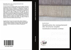 Modélisation du comportement des structures souples - Ben Naceur, Ilyes