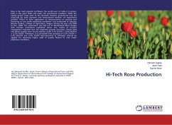 Hi-Tech Rose Production - Jagtap, Hemant;Patil, Atish;More, Sachin
