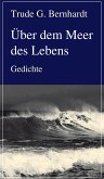 Über dem Meer des Lebens (eBook, ePUB)