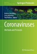 Coronaviruses - Bild 1