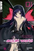 Die Rückkehr des schwarzen Schneewittchens / Accel World - Novel Bd.1