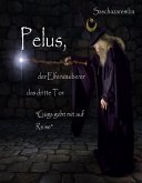 Pelus der Elfenzauberer Das dritte Tor (eBook, ePUB)