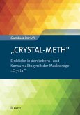 "CRYSTAL-METH" - Einblicke in den Lebens- und Konsumalltag mit der Modedroge "Crystal" (eBook, PDF)
