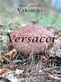 Versacci (eBook, PDF)