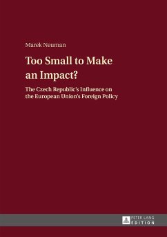 Too Small to Make an Impact? - Neuman, Marek