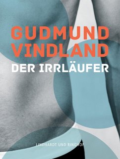 Der Irrläufer (eBook, ePUB) - Vindland, Gudmund