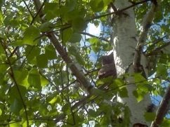 Cover General Theory of Society (eBook, ePUB)