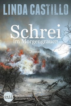 Schrei im Morgengrauen (eBook, ePUB) - Castillo, Linda