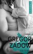 Gregor Zadow / Fire&Ice Bd.6.5 (eBook,... - Bild 1